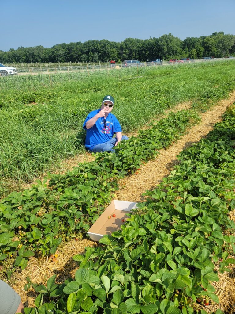 Jay Strawberry picking (1)